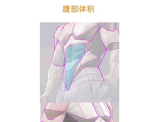 腹部肌肉结构解析
