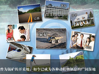 网站banner设计