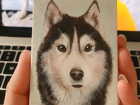 宠物油画