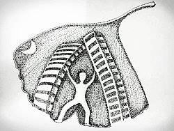 《叶画》点画系列
