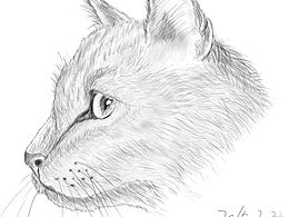 素描——黑與白之間的光陰