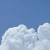 渴渴渴渴科啊的头像