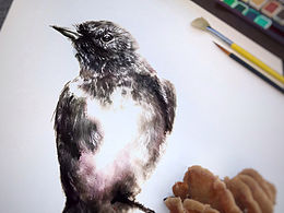 花奴百鸟图绘No.44