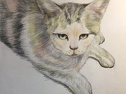 2018年部分手绘练习