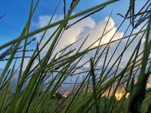 海口•站在海大看世纪大桥