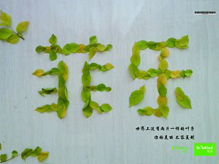 化妆品海报－叶子篇（个人主页-ZNDEzODAyOA==） - 海报 - 站酷设计师凯迪kaidi原创素材 - 站酷ZCOOL