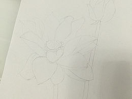 臨?。汉苫ǎú抒U畫）