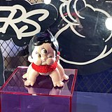 不懒哈哈的头像