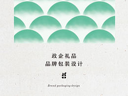 公司案例