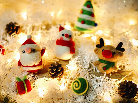 圣诞节🎄主题羊毛毡套装