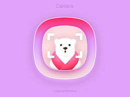 Camera-icon