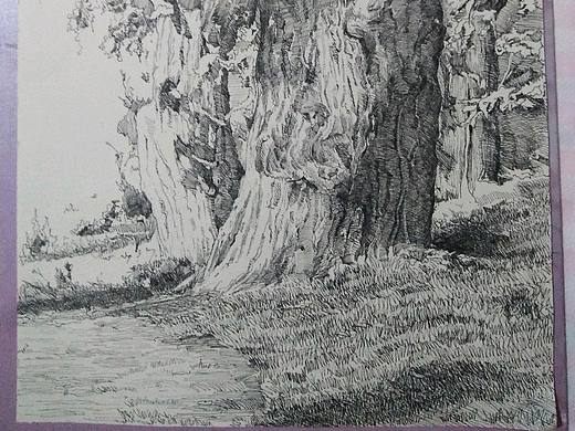 写生（个人主页-ZMzk2MjkzMDA=） - 绘画 - 站酷设计师王咩咩咩原创素材 - 站酷ZCOOL