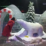 打死不吃苦瓜W的头像