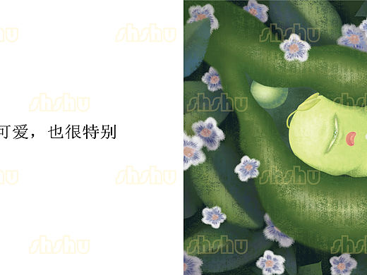 与众不同的豆子