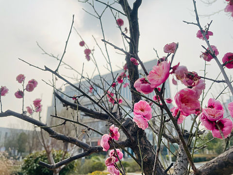 又要到适合游玩的季节了[z大笑][z大笑]