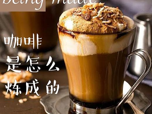 ［折页］咖啡是怎样炼成的