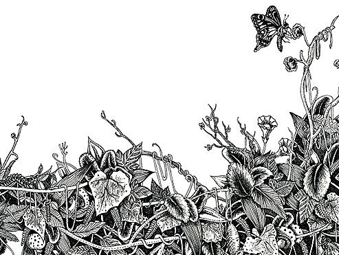 一些黑白插画