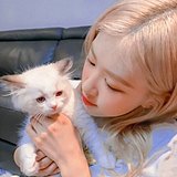 里边请的头像