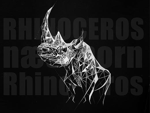 犀牛-刮畫-不同手法和形式的嘗試（個(gè)人主頁-ZMjE0NjcyNDQ=） - 創(chuàng)作習(xí)作 - 站酷設(shè)計(jì)師一盒火柴原創(chuàng)素材 - 站酷ZCOOL