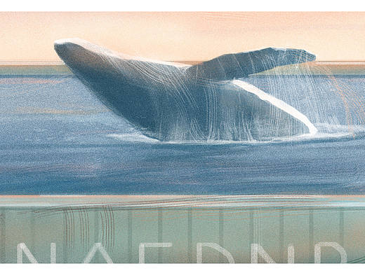 绘本《来看海吗》