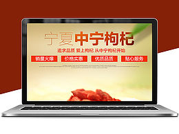 淘宝天猫土特产详情 枸杞详情 中国风详情页 宁夏中宁枸杞详情 海报 食物详情 中药材