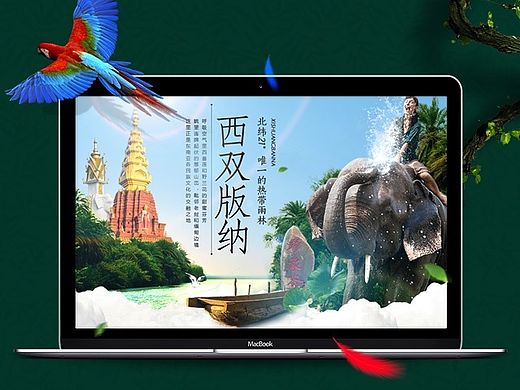 西双版纳--北纬27°唯一的热带雨林！