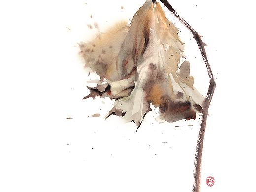 水彩插画