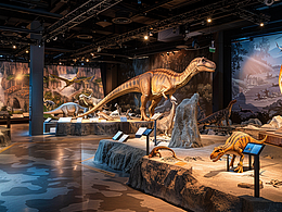 2024.04.20-地质博物馆展陈设计-恐龙篇