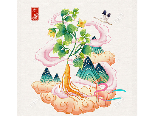 中草药党参手绘插画
