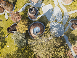 森林中的森林——溧阳杨湾驿站