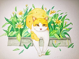 貓咪水彩作品臨摹