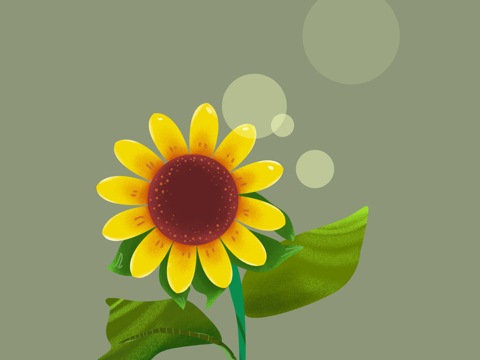 向日葵插画 简单图片