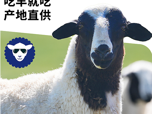 生鲜详情