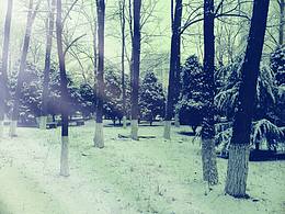 秦皇島的一抹冰涼。