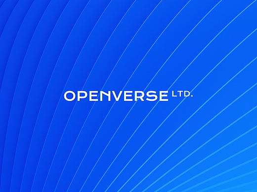 OPENVERSE | Brand Identity 品牌形象