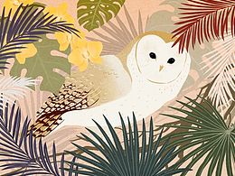 又帅又萌的猫头鹰