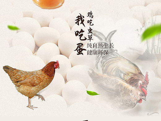鸡蛋详情页  食品详情页