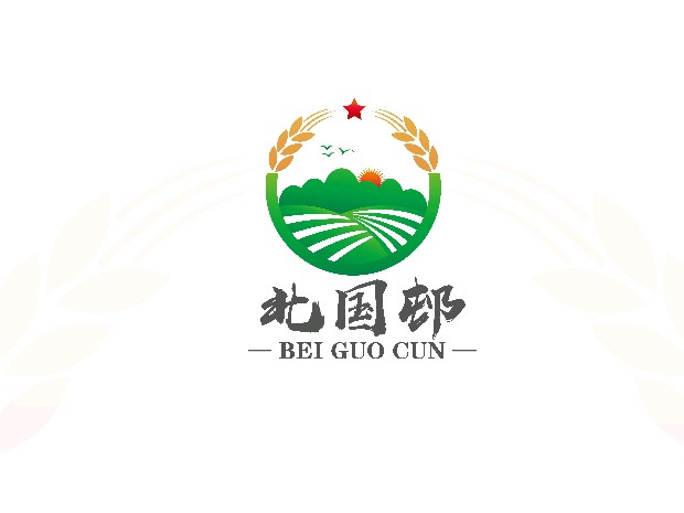 北国邨大米｜品牌logo设计/包装提案