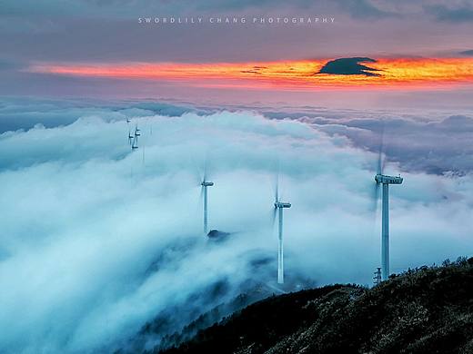 风光组 云海遨游 4群 剑胆琴心