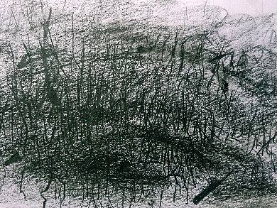 奇怪的……（個人主頁-ZMzYzMTAxNTY=） - 繪畫 - 站酷設(shè)計師Z88328328原創(chuàng)素材 - 站酷ZCOOL