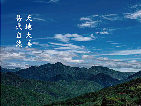 芮淋茶山地图
