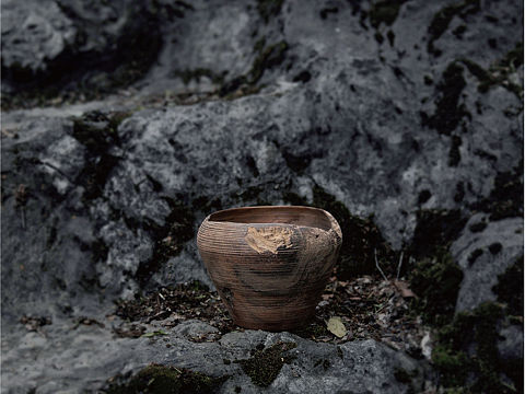 【在外】野生系列 —— 花器