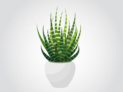 矢量多肉植物素材