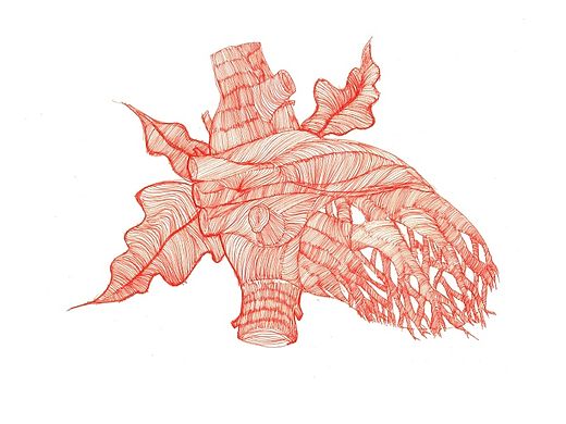 红蓝插画——人体与自然