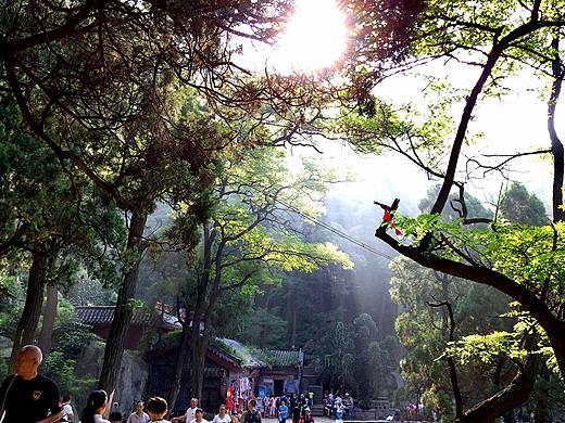 清晨的泰山（个人主页-ZMjgwNDM5Njg=） - 风光摄影 - 站酷设计师神奇李原创素材 - 站酷ZCOOL