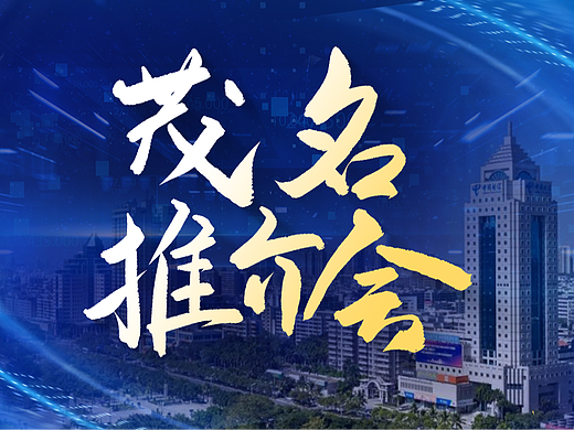 PPT设计 | 茂名高新区推介会PPT