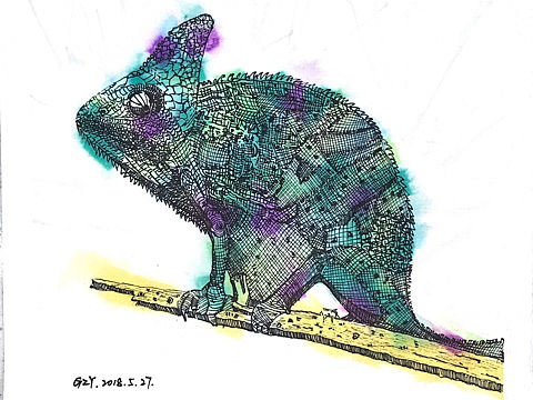 一只皱纹纸变色龙