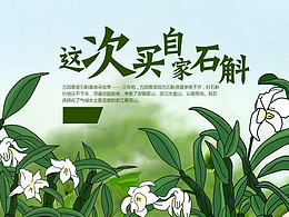 石斛海报banner 铁皮石斛 滋补养生