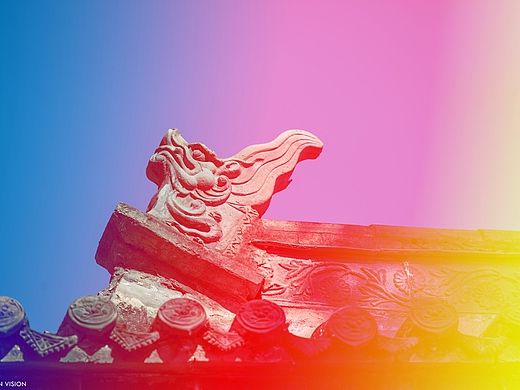 之间摄影/脊兽 角兽