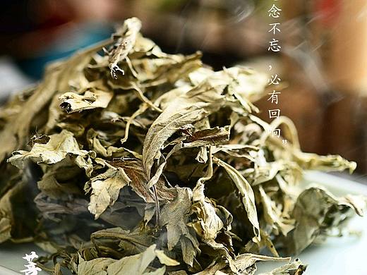 艾叶与艾绒